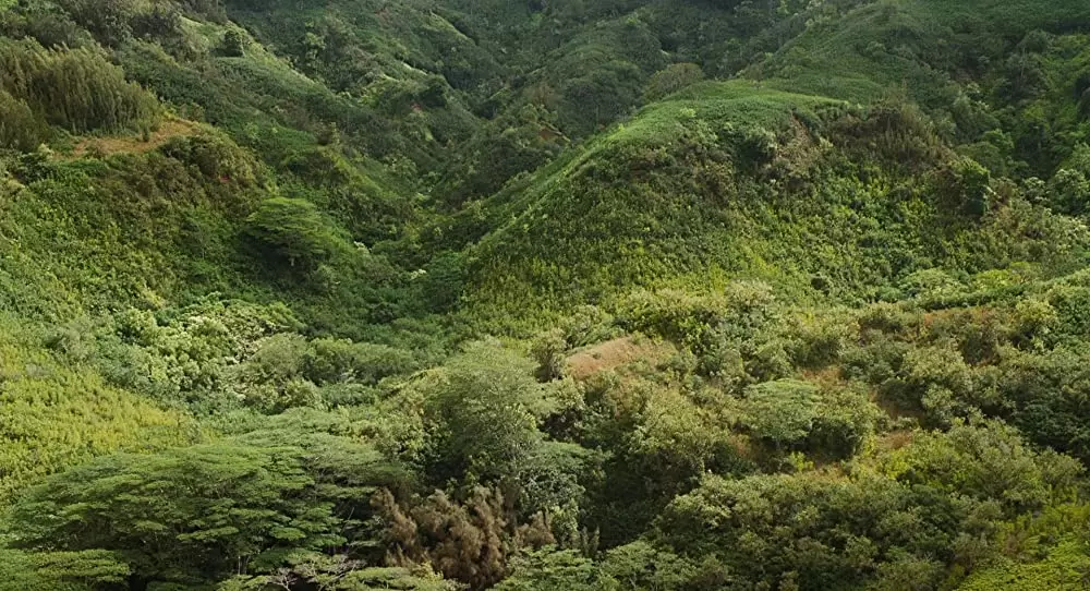 アルビン3 シマリスたちの大冒険 特別編の画像