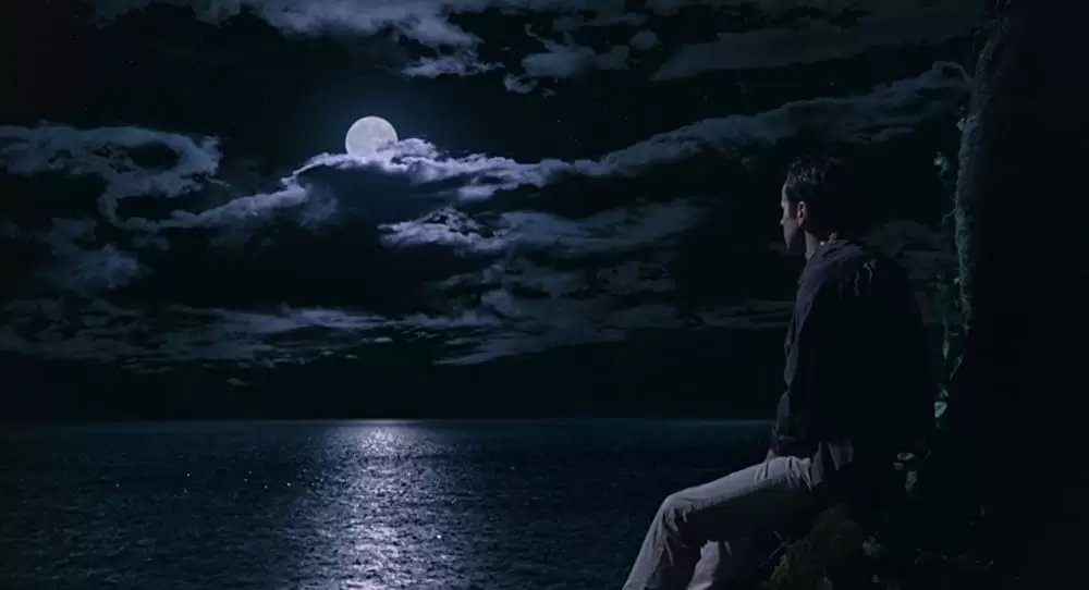 アルビン3 シマリスたちの大冒険 特別編の画像