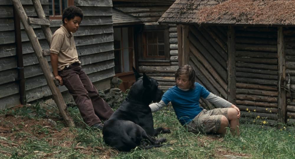 Allen Sunshine（原題）の写真