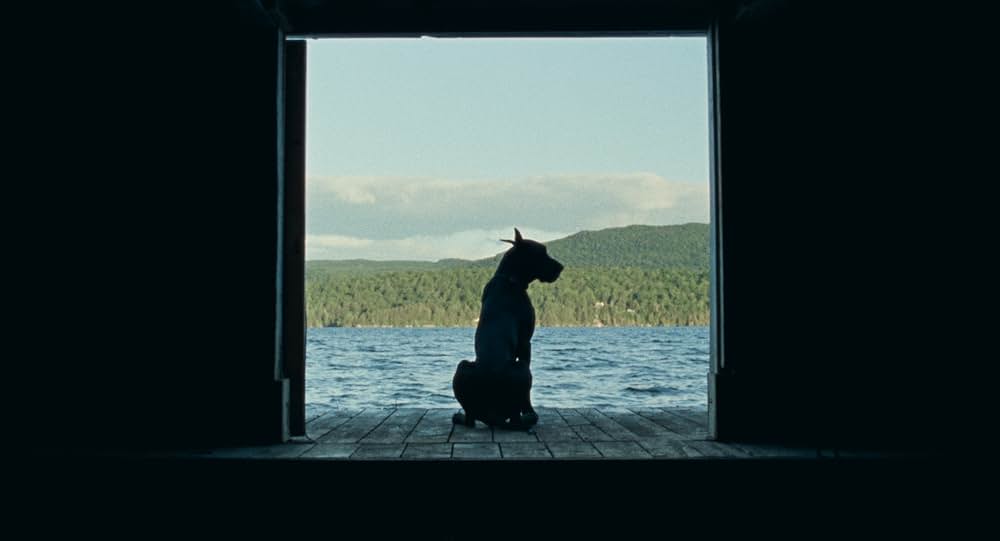 Allen Sunshine（原題）の画像