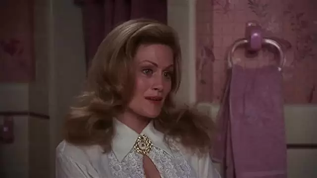 ナショナル・ランプーン／クリスマス・バケーションの画像