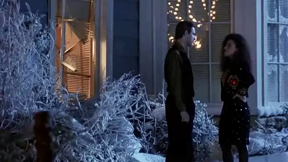 「ナショナル・ランプーン／クリスマス・バケーション」ジュリア・ルイス＝ドレイファス & ニコラス・ゲストの画像