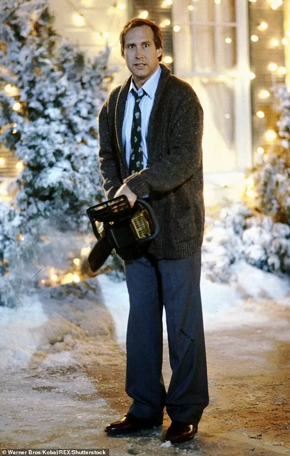 ナショナル・ランプーン／クリスマス・バケーションの画像