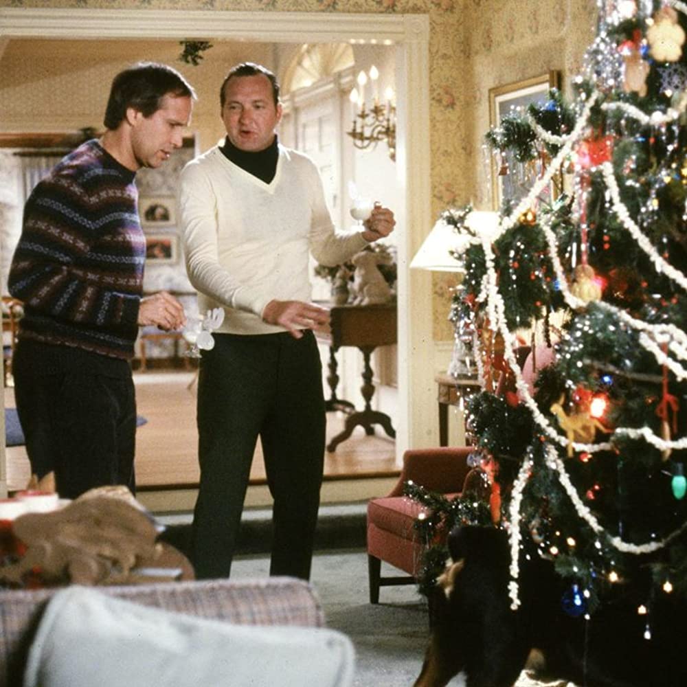 ナショナル・ランプーン／クリスマス・バケーションの画像
