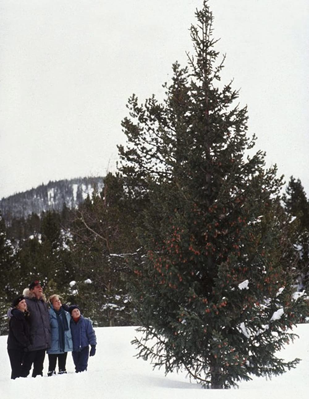 ナショナル・ランプーン／クリスマス・バケーションの画像