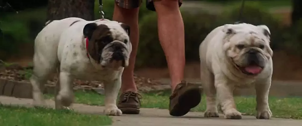 Mr.&Mrs. スパイの画像