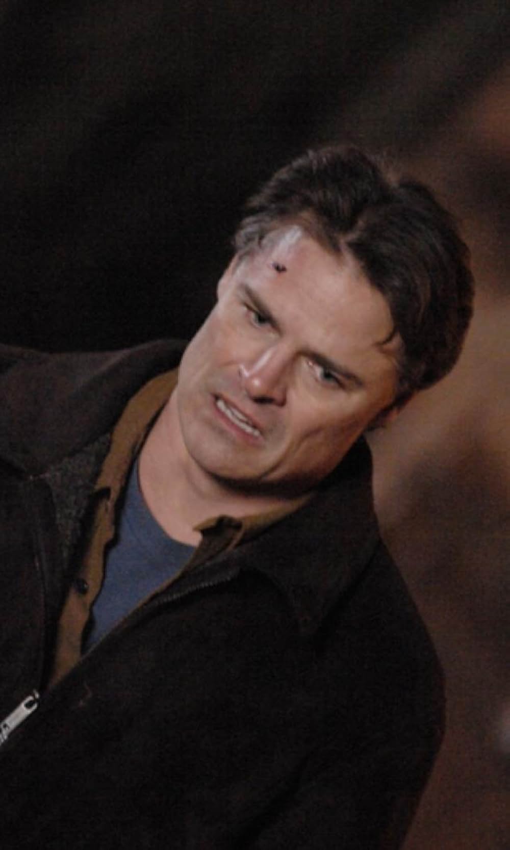 偶然の摂理の画像