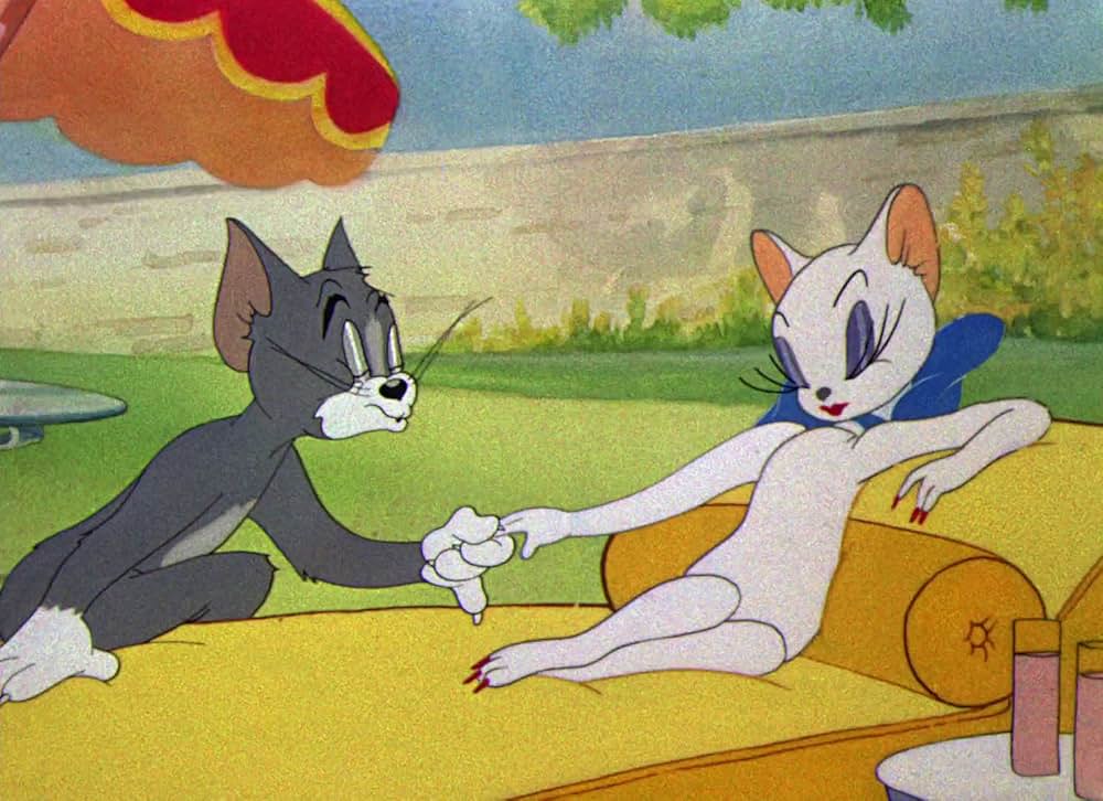 春はいたずらものの写真