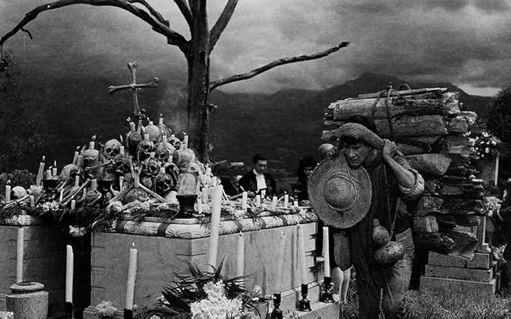 マカリオの画像