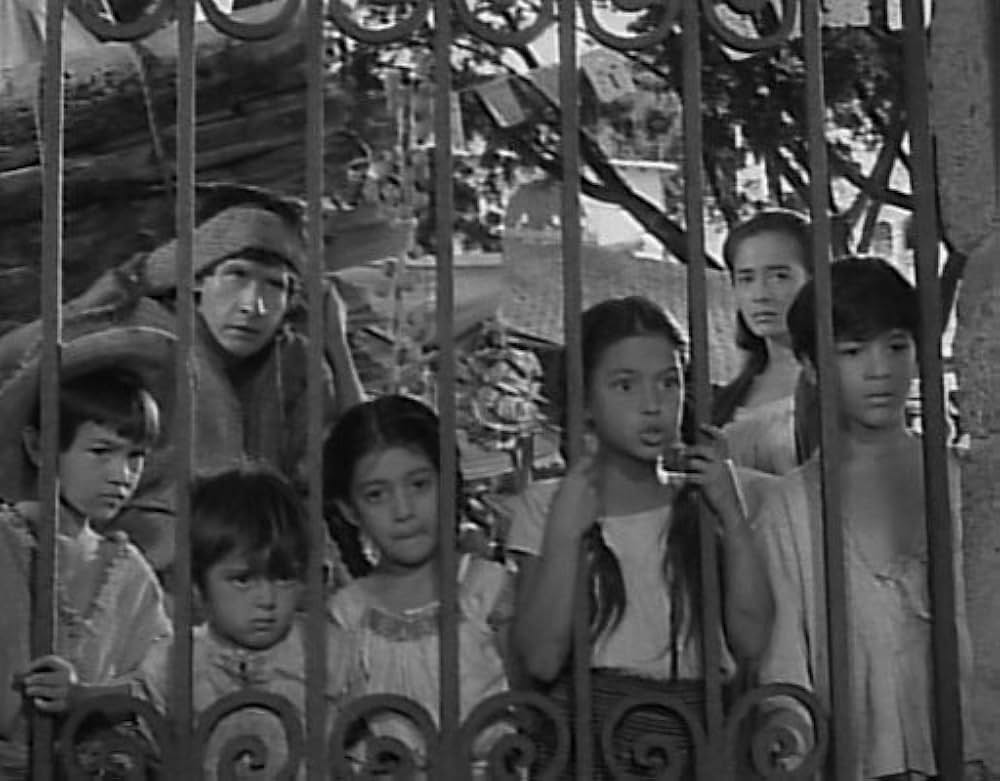 マカリオの画像