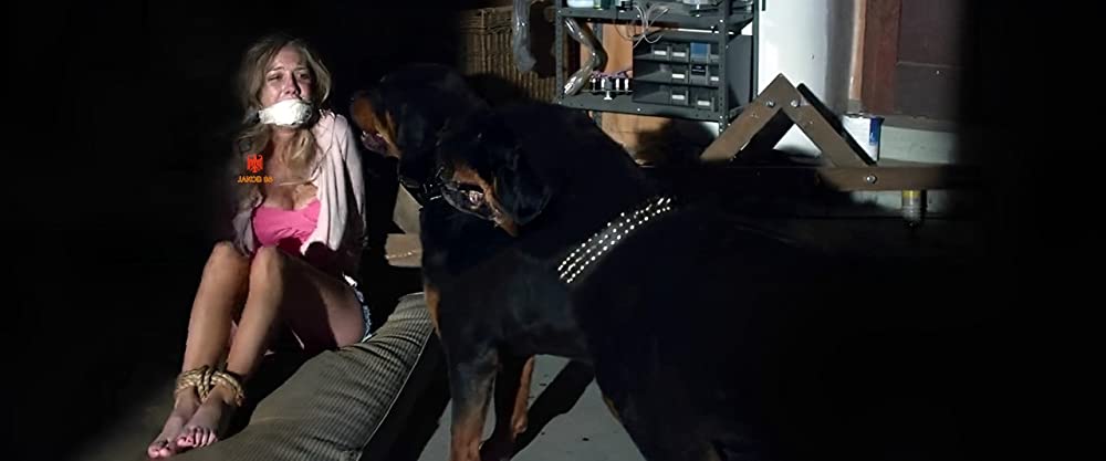 オッド・トーマス 死神と奇妙な救世主の画像