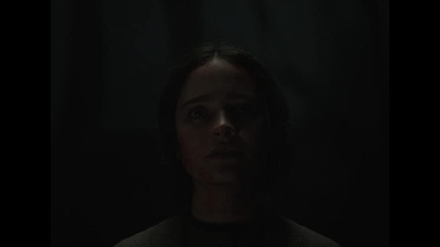 ナイチンゲールの画像