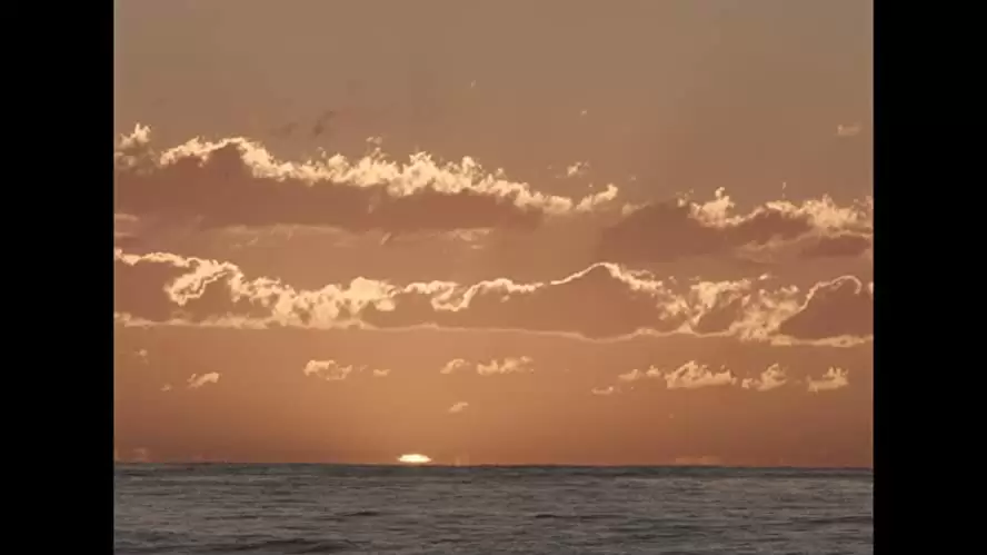 ナイチンゲールの画像