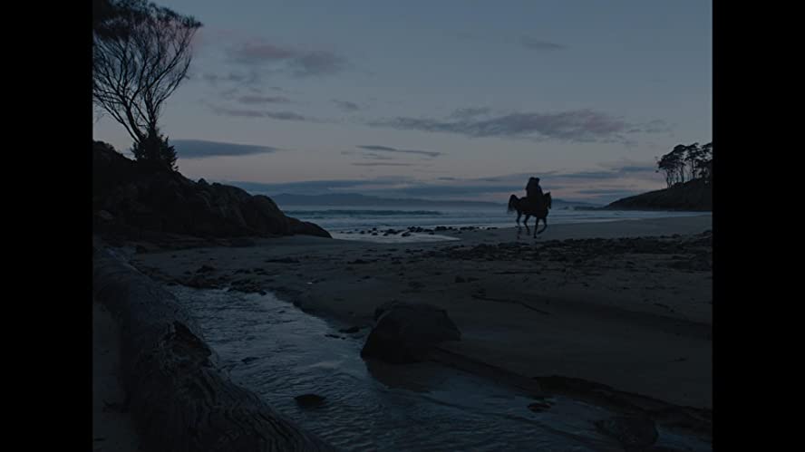 ナイチンゲールの画像