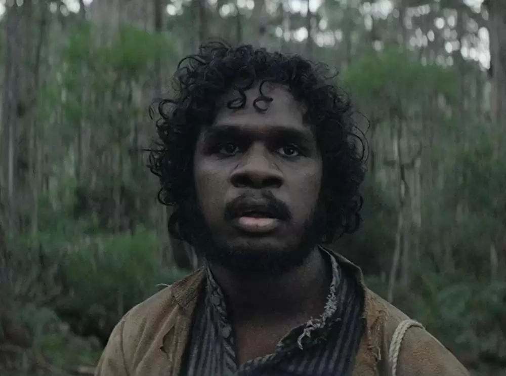 ナイチンゲールの画像