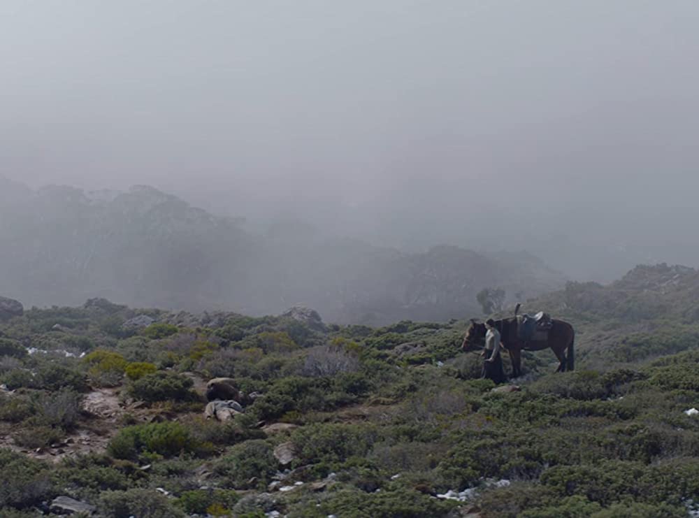 ナイチンゲールの画像