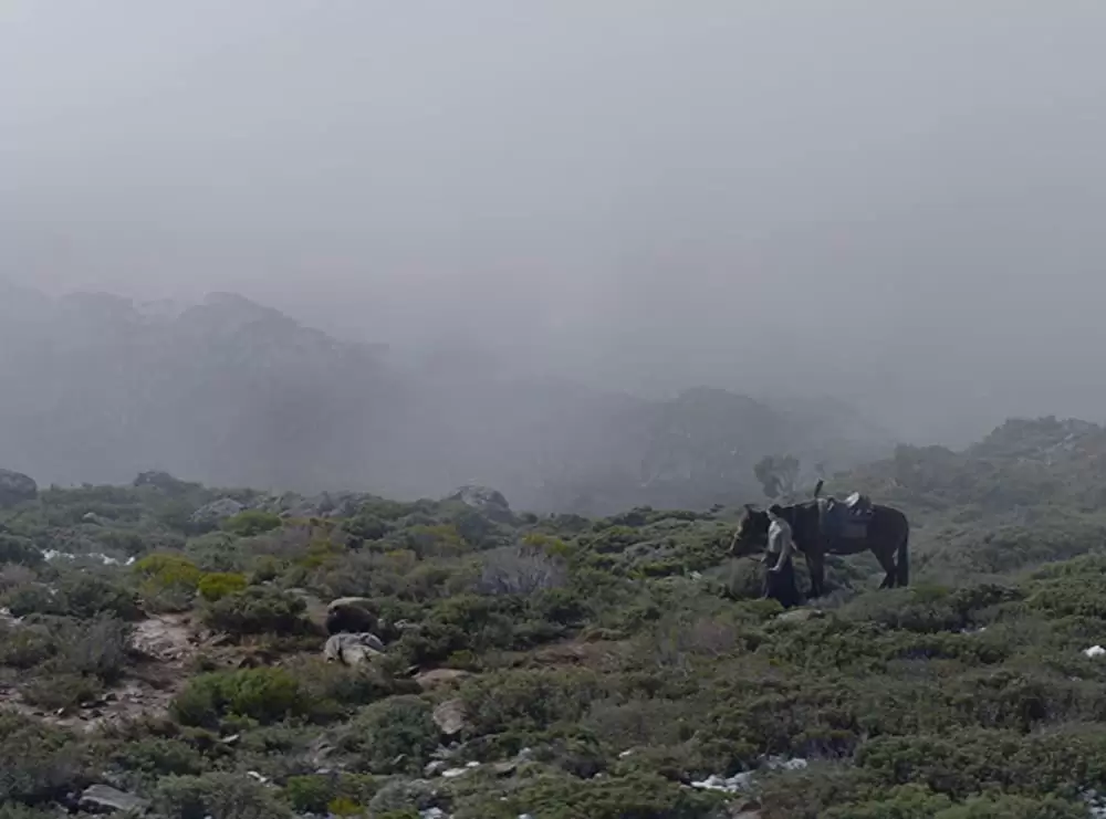「ナイチンゲール」Aisling Franciosi & Baykali Ganambarrの画像
