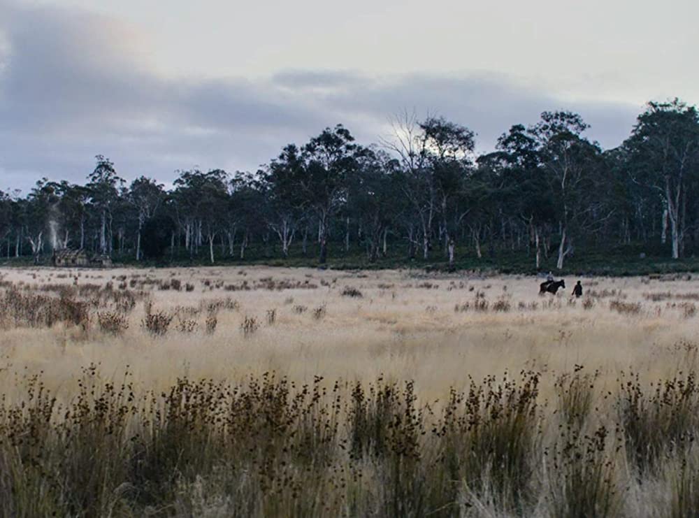 ナイチンゲールの画像