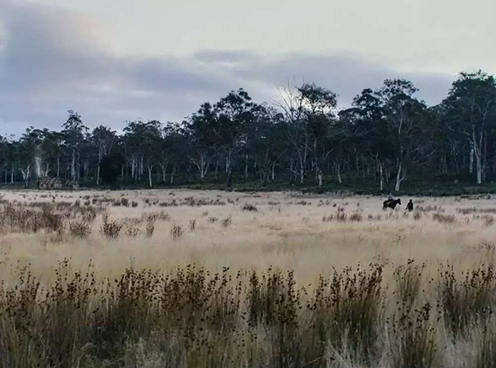 「ナイチンゲール」Aisling Franciosi & Baykali Ganambarrの画像
