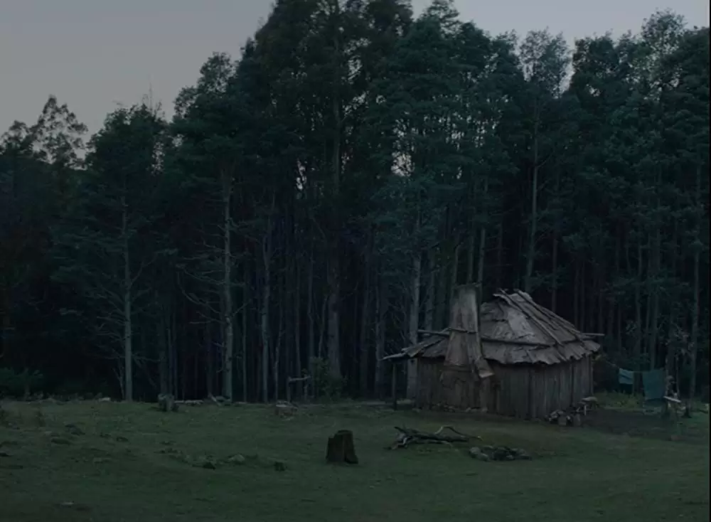 ナイチンゲールの画像