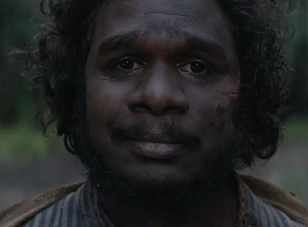 ナイチンゲールの画像