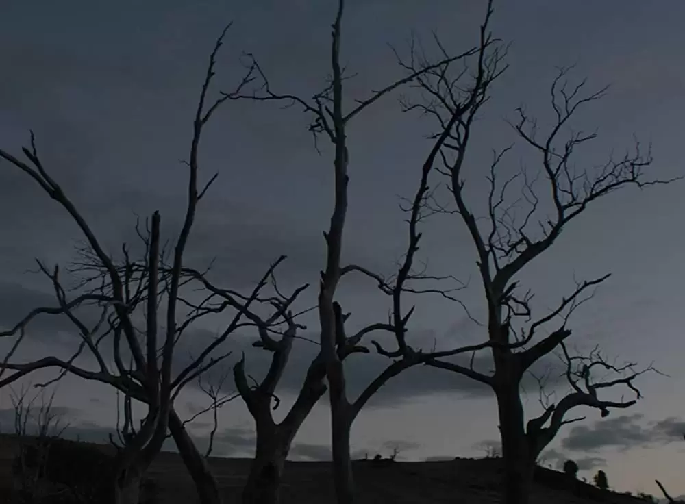 ナイチンゲールの画像