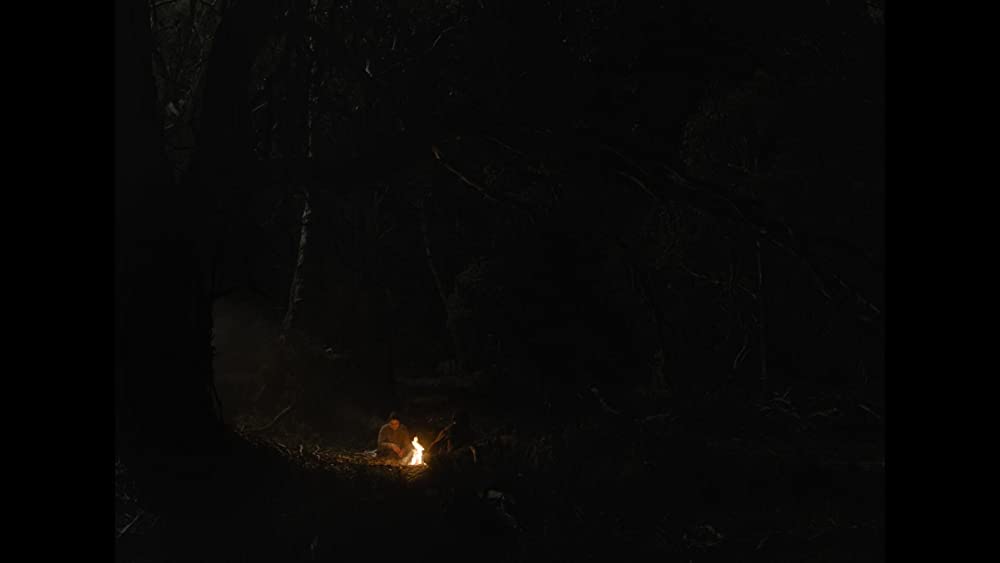 ナイチンゲールの画像