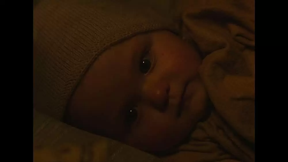 ナイチンゲールの画像