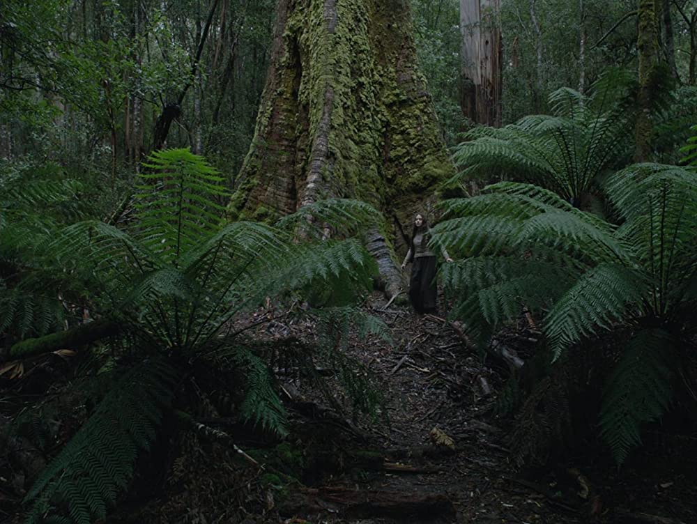 ナイチンゲールの画像