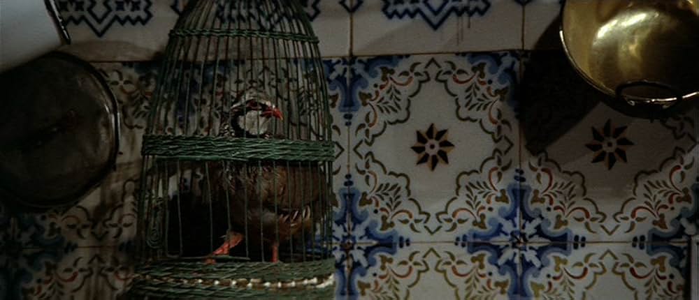 ホワイティの画像