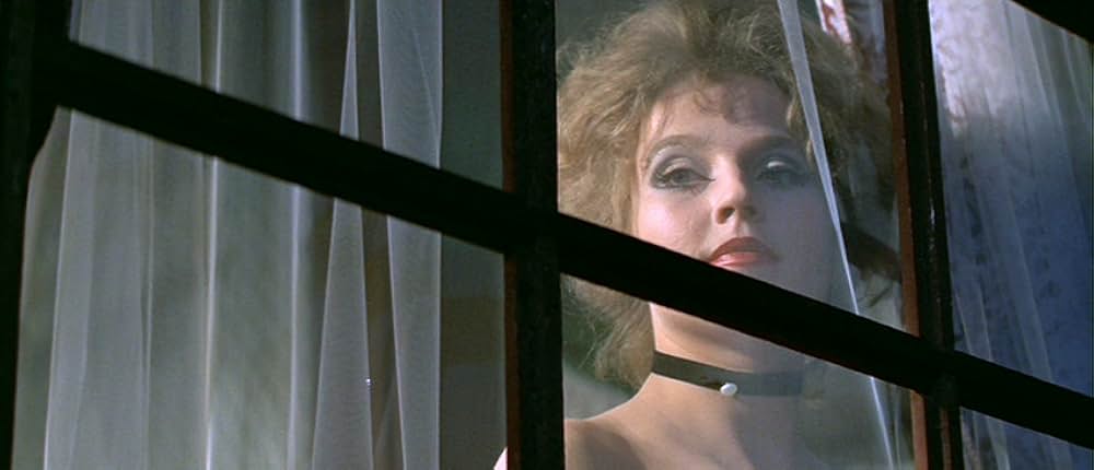 ホワイティの画像