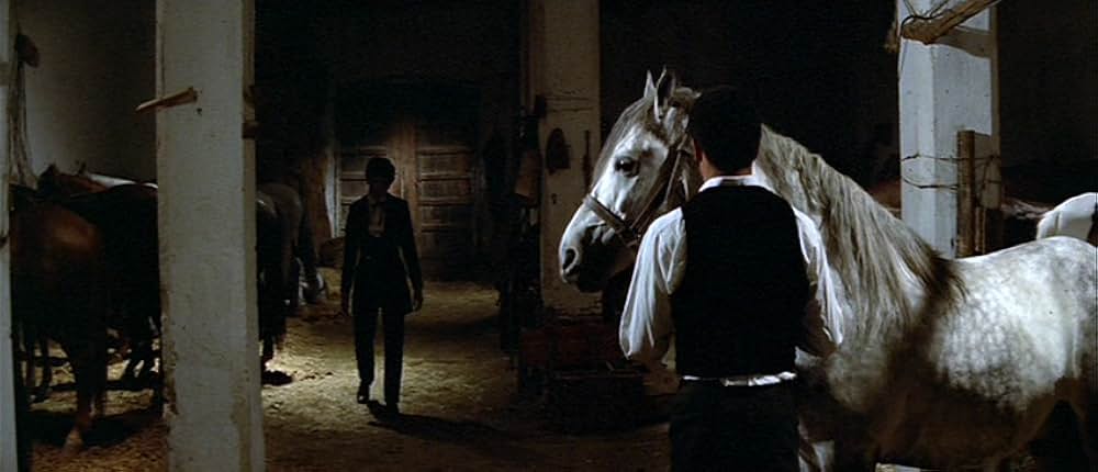 ホワイティの画像