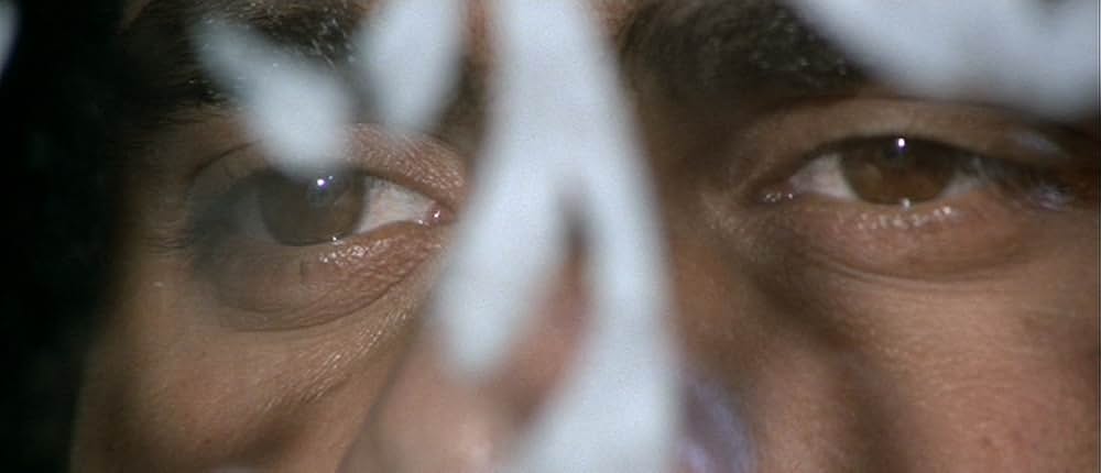 ホワイティの画像