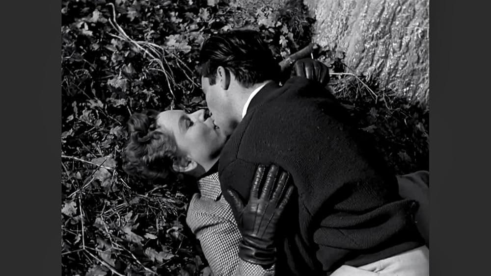 眠れる虎の写真