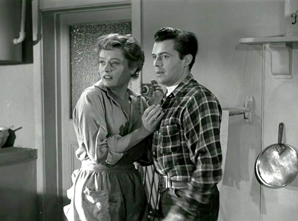 眠れる虎の画像