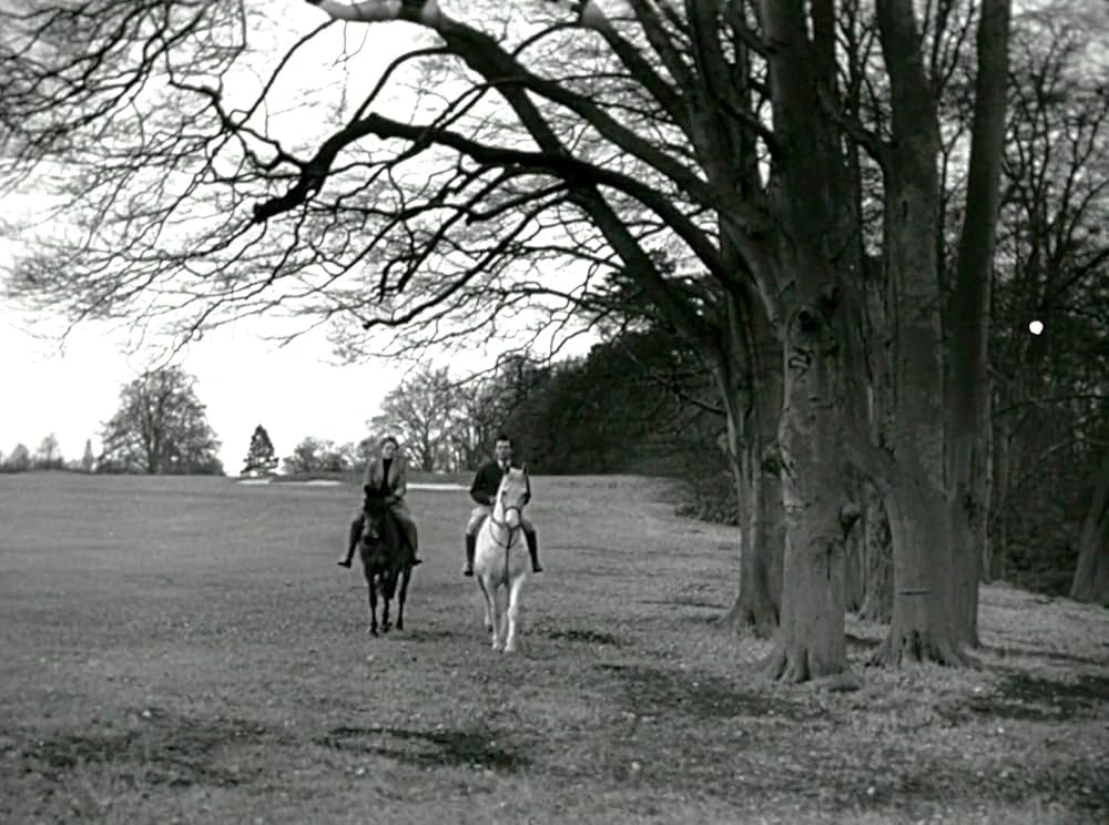 眠れる虎の画像