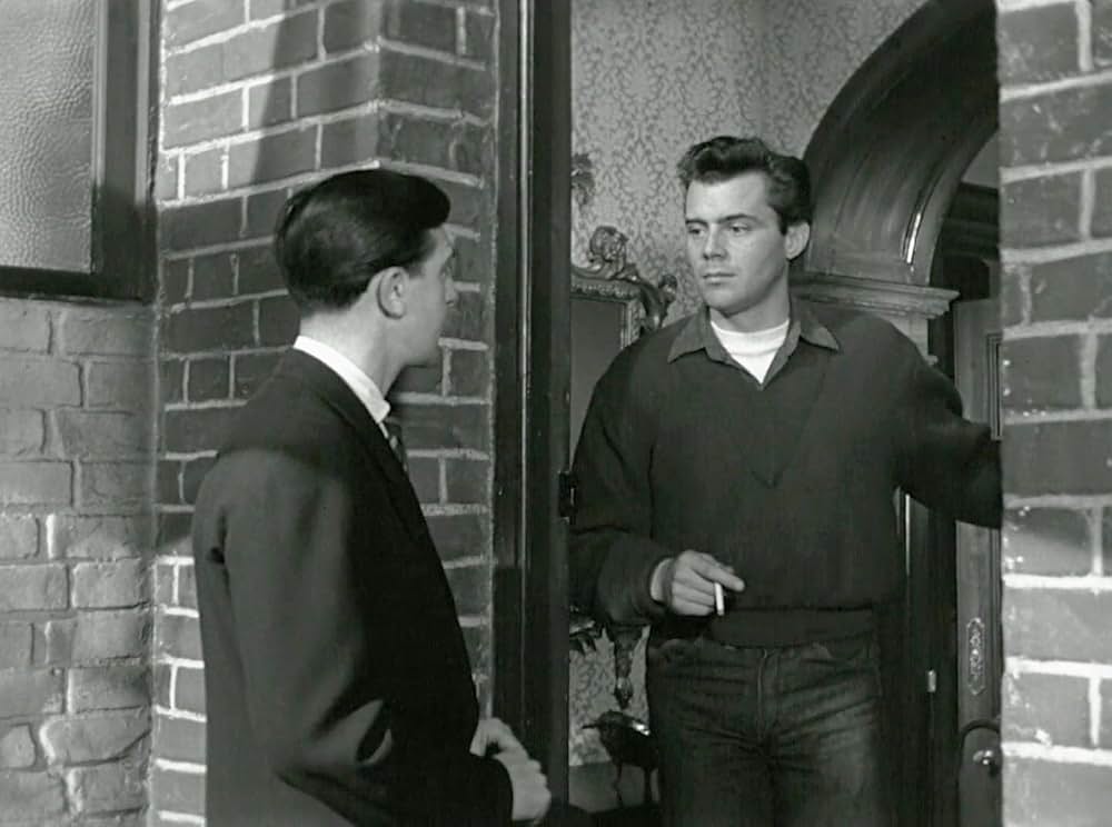 眠れる虎の画像