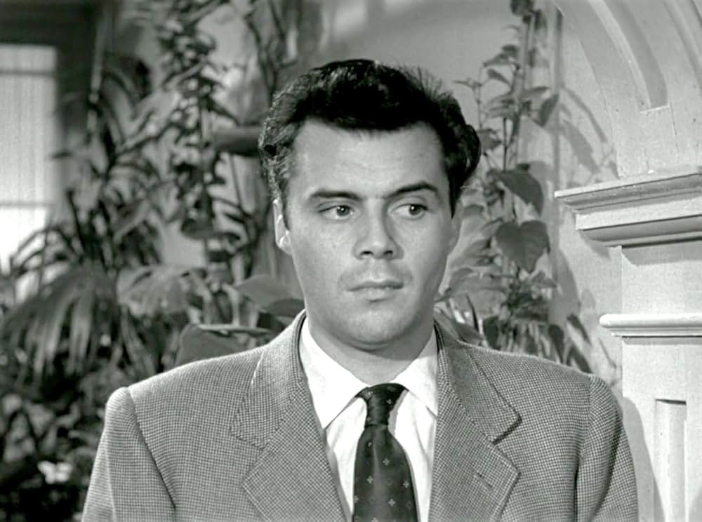 眠れる虎の画像