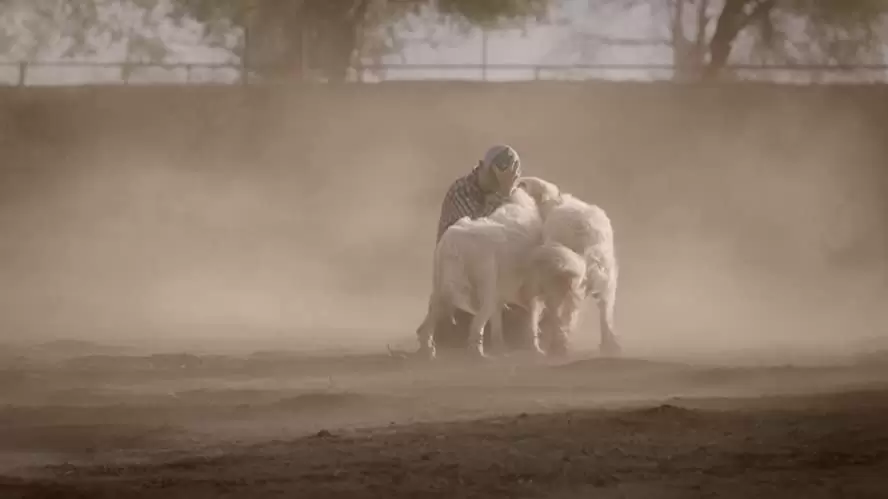 ビッグ・リトル・ファーム 理想の暮らしのつくり方の画像
