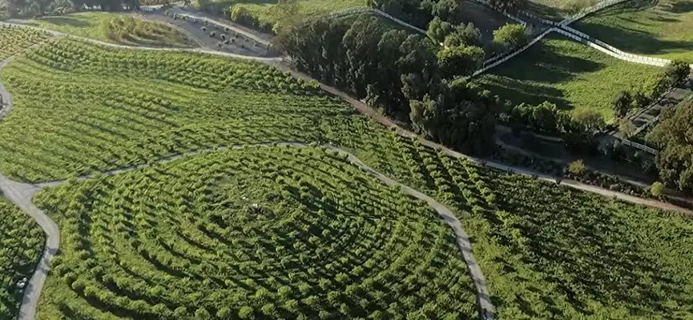 ビッグ・リトル・ファーム 理想の暮らしのつくり方の画像