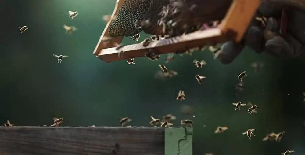 ビッグ・リトル・ファーム 理想の暮らしのつくり方の画像