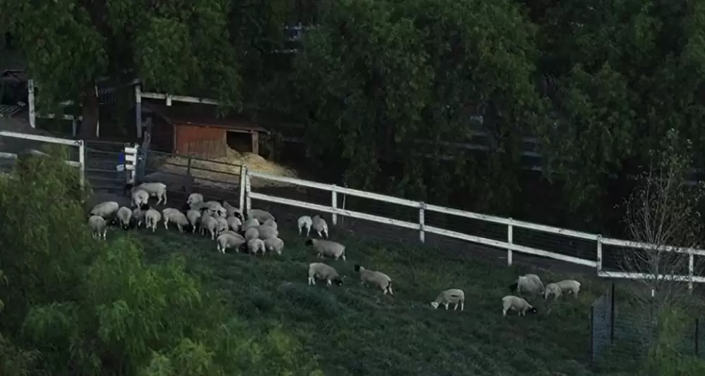 ビッグ・リトル・ファーム 理想の暮らしのつくり方の画像