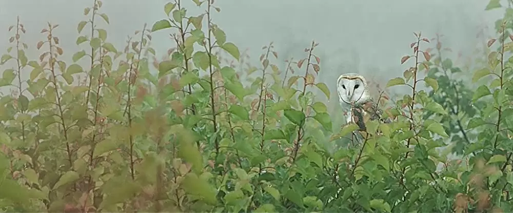ビッグ・リトル・ファーム 理想の暮らしのつくり方の画像