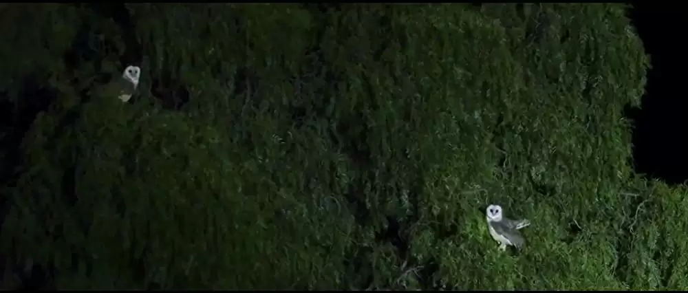 ビッグ・リトル・ファーム 理想の暮らしのつくり方の画像