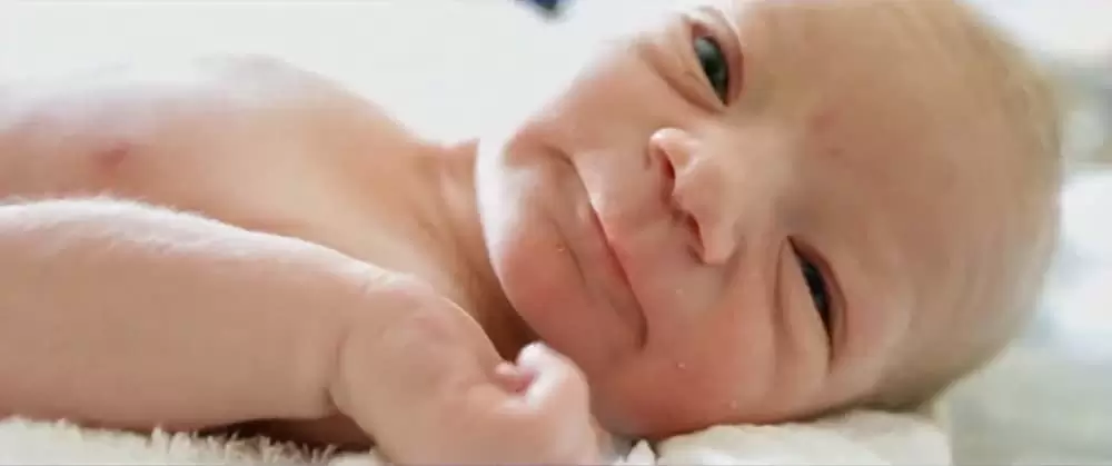 ビッグ・リトル・ファーム 理想の暮らしのつくり方の画像