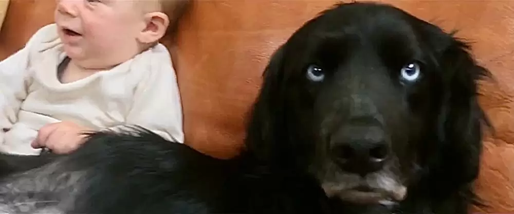 ビッグ・リトル・ファーム 理想の暮らしのつくり方の画像