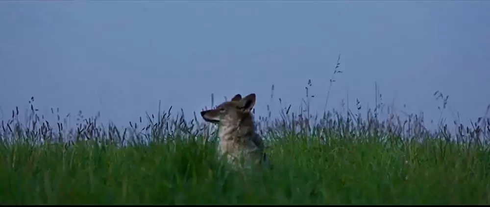 ビッグ・リトル・ファーム 理想の暮らしのつくり方の画像