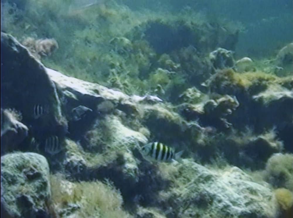 Spaceship Earth（原題）の画像