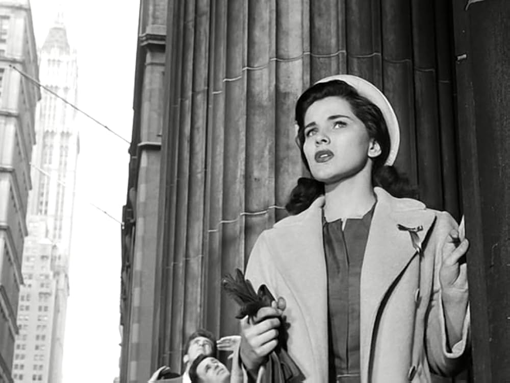 14時間の恐怖の画像