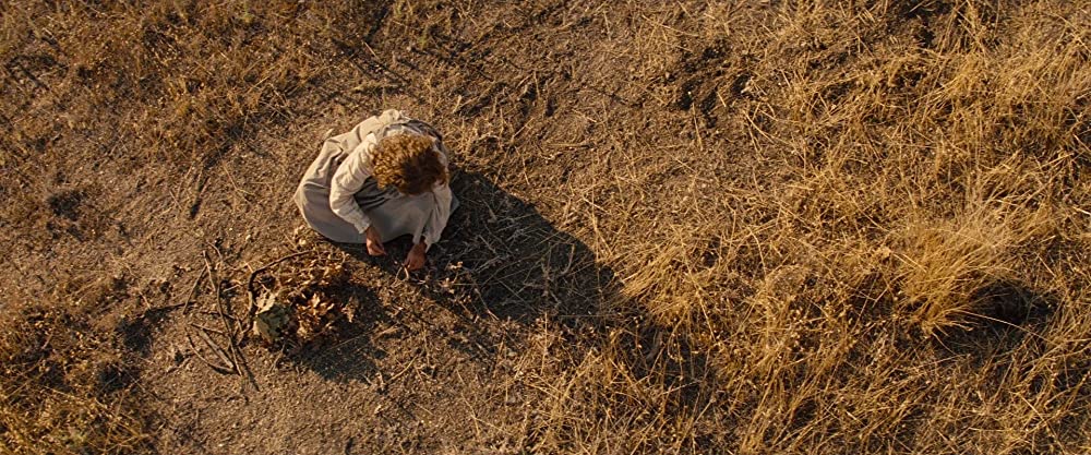 ウォルト・ディズニーの約束の画像